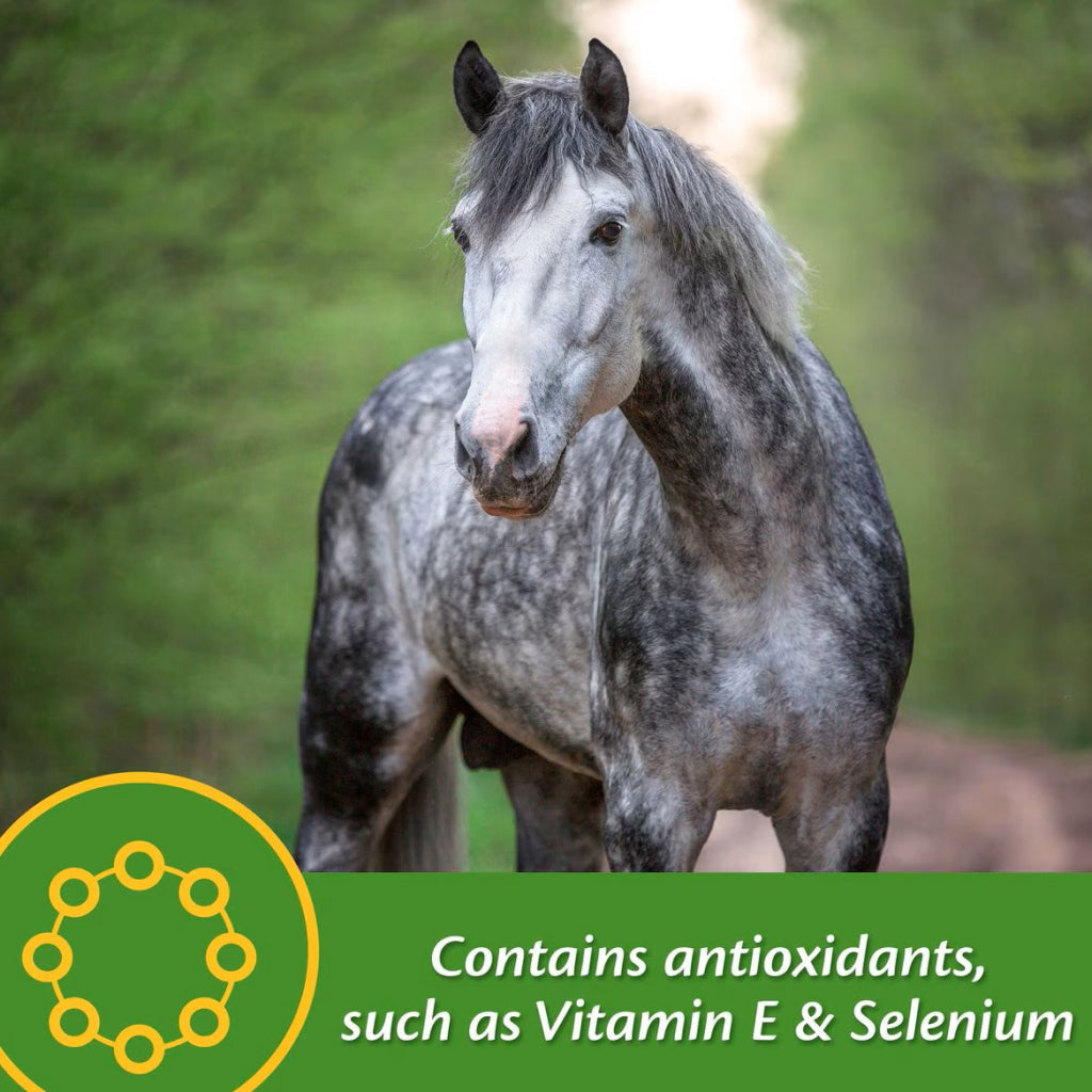 Farnam Vita Plus Balanced Multi-Vitamin & Mineral Supplement for Horses