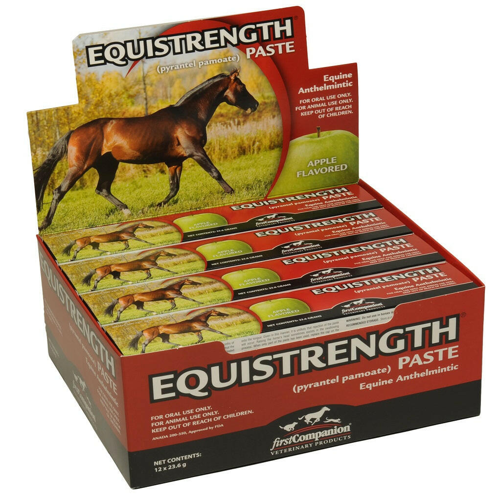 First Companion Apple Flavored Equistrength Paste For Horses (23.6 g)