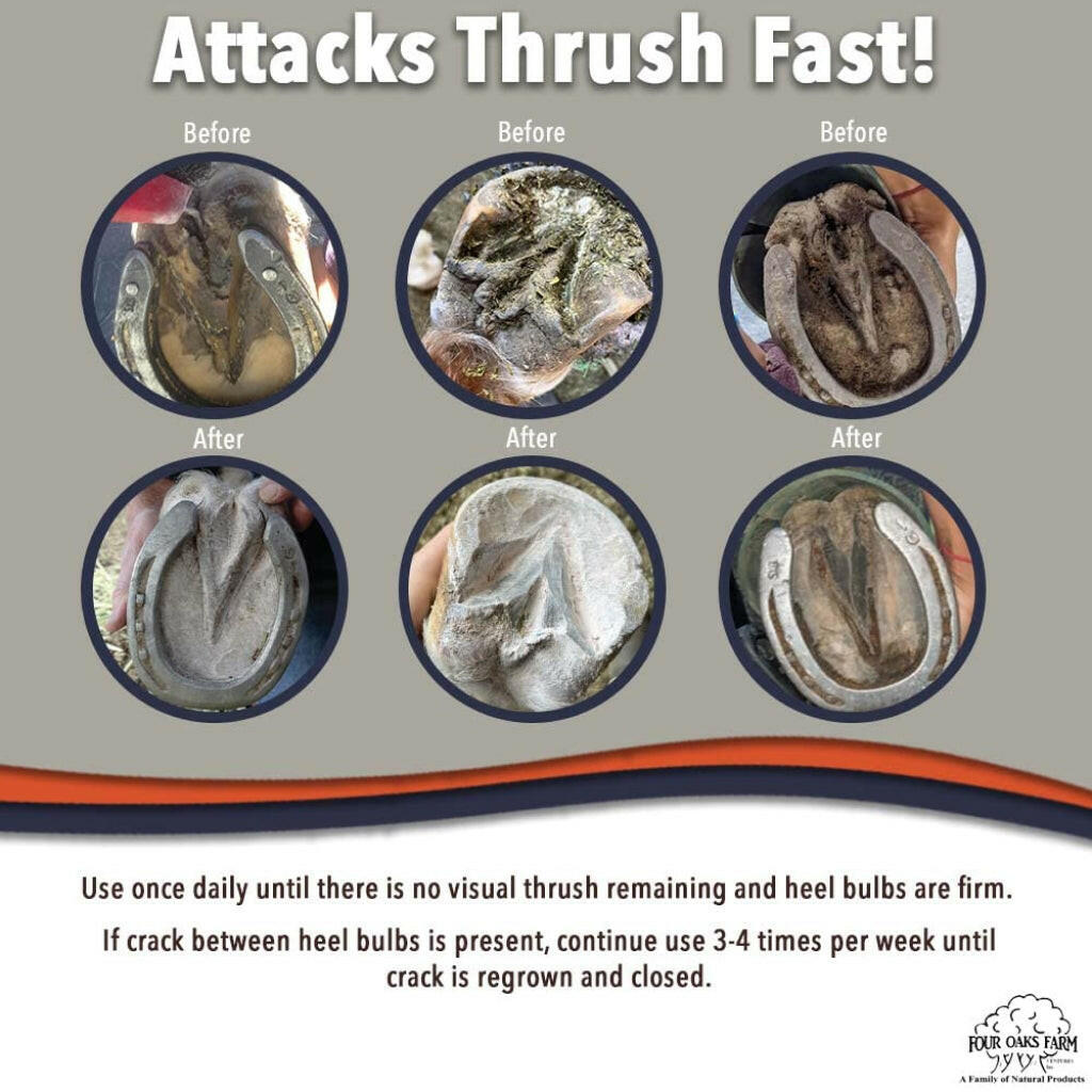Four Oaks Farm No Thrush Dry Formula For Horses