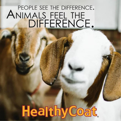 Healthy Coat Feed Supplement for Goats (32 oz)