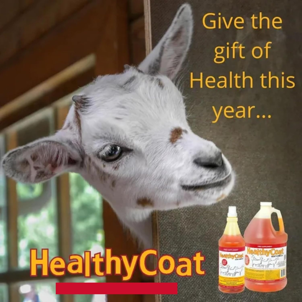 Healthy Coat Feed Supplement for Goats (32 oz)
