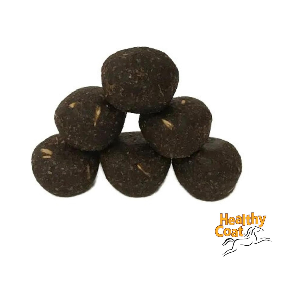 Healthy Coat HealthyCakes Apple & Molasses Horse Treats (2 lb)