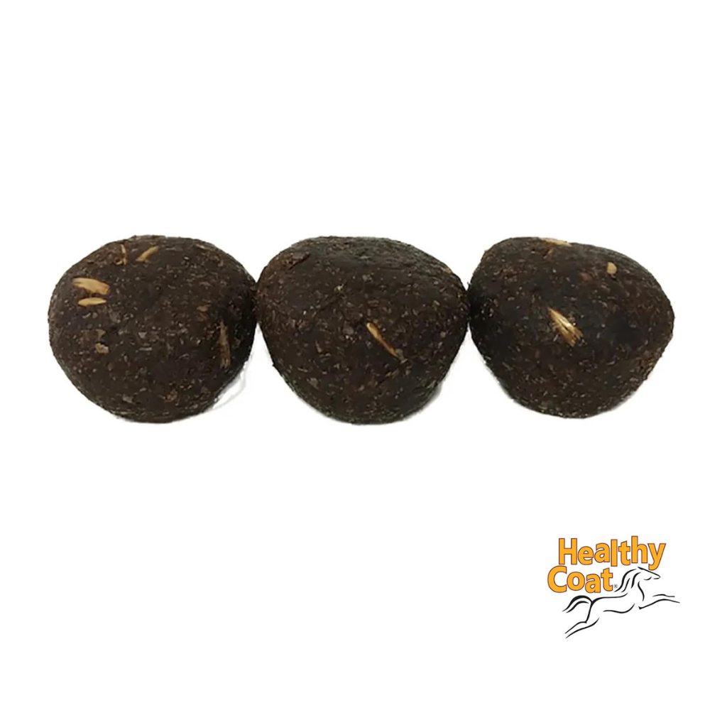 Healthy Coat HealthyCakes Apple & Molasses Horse Treats (2 lb)