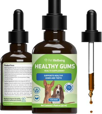 Healthy Gums for Canine Periodontal Health
