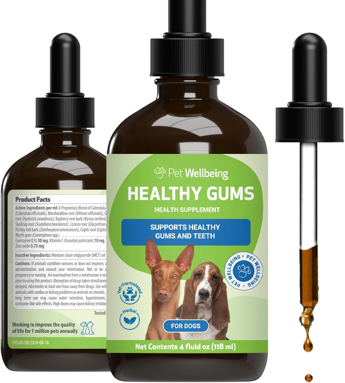 Healthy Gums for Canine Periodontal Health