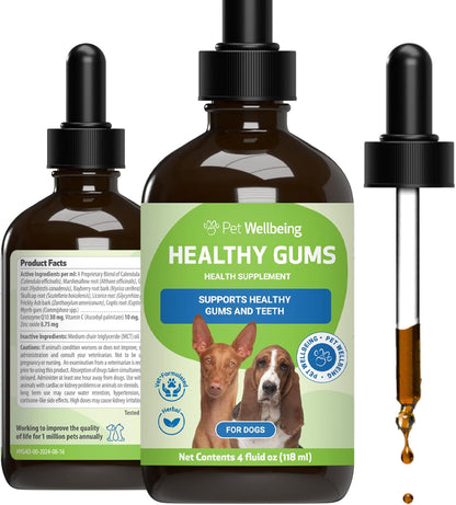 Healthy Gums for Canine Periodontal Health