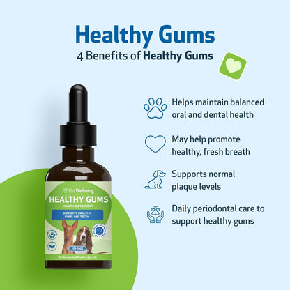 Healthy Gums for Canine Periodontal Health