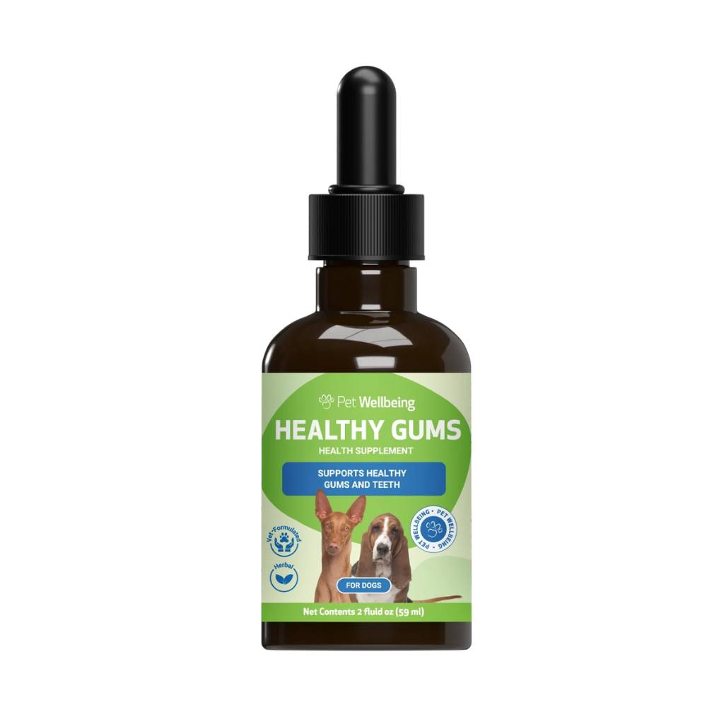Healthy Gums for Canine Periodontal Health