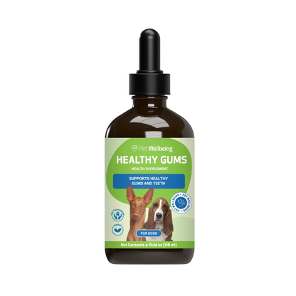 Healthy Gums for Canine Periodontal Health