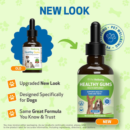 Healthy Gums for Canine Periodontal Health
