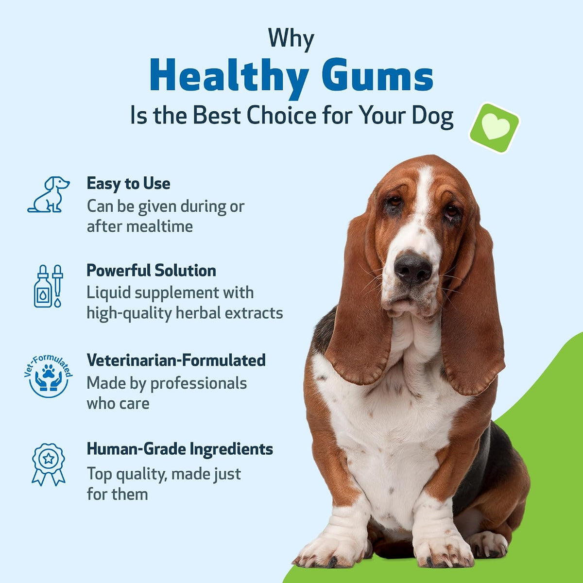 Healthy Gums for Canine Periodontal Health