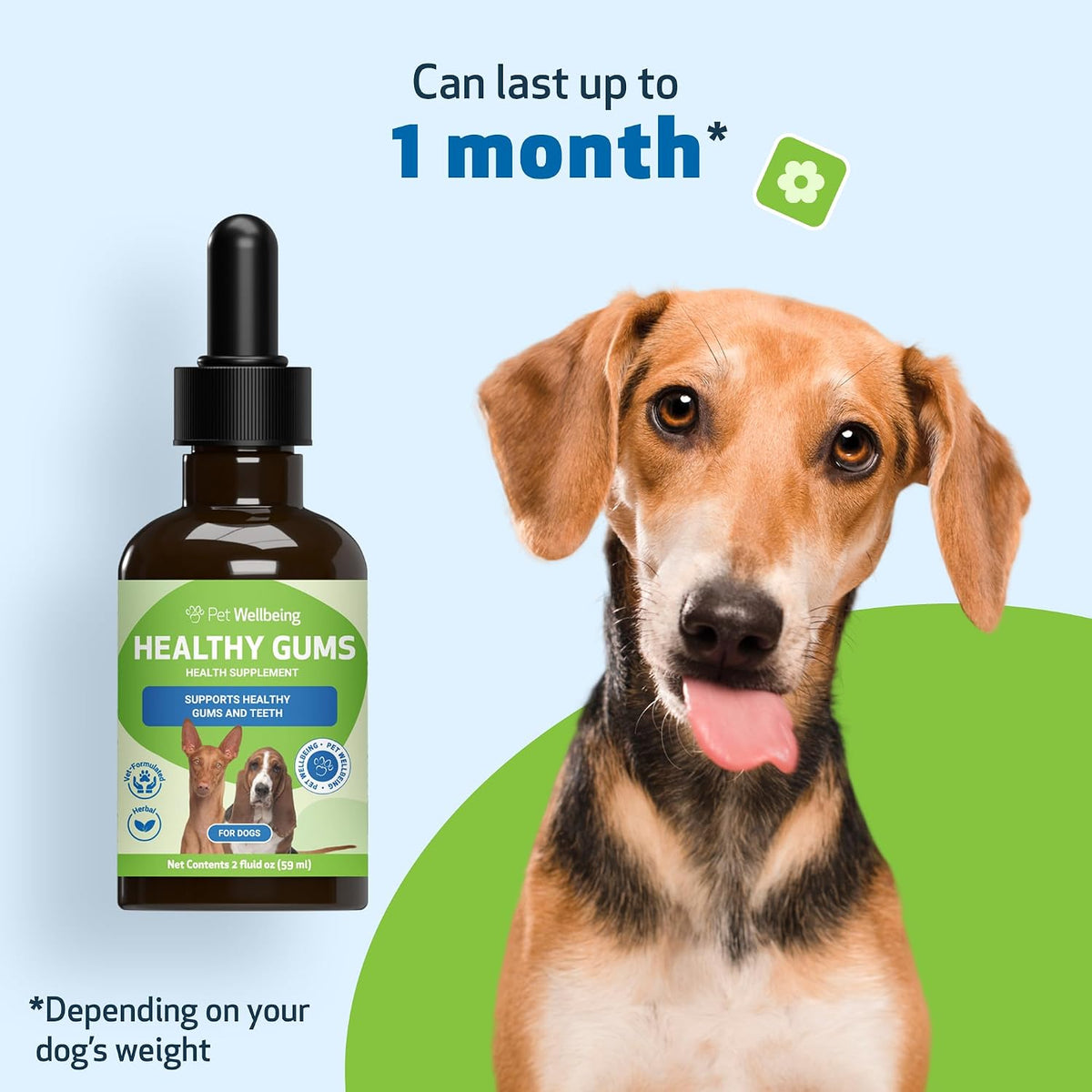 Healthy Gums for Canine Periodontal Health