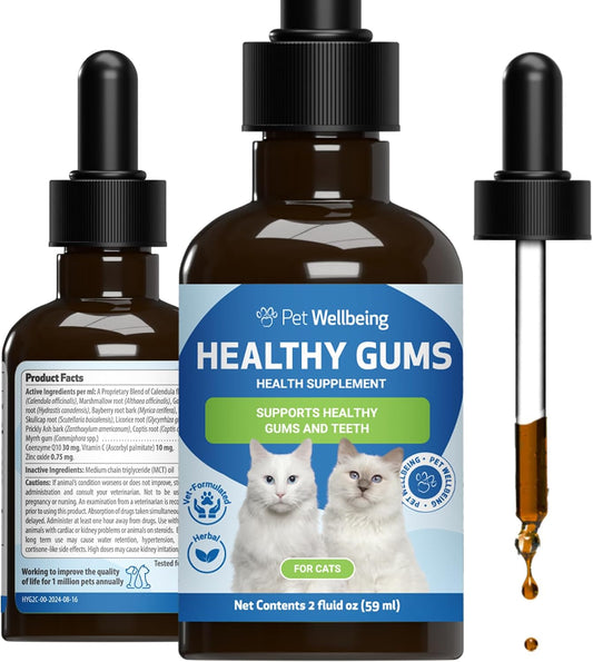 Healthy Gums for Feline Periodontal Health
