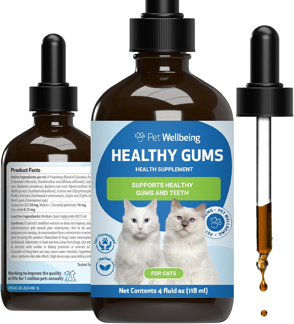 Healthy Gums for Feline Periodontal Health