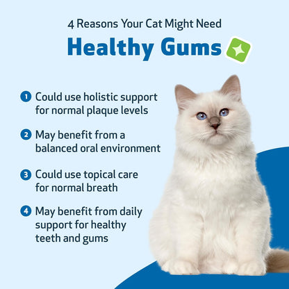 Healthy Gums for Feline Periodontal Health