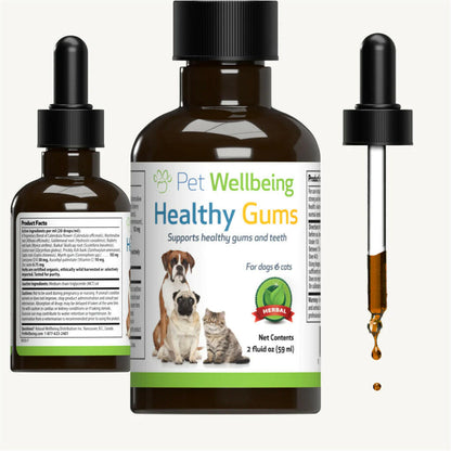 Healthy Gums for Feline Periodontal Health