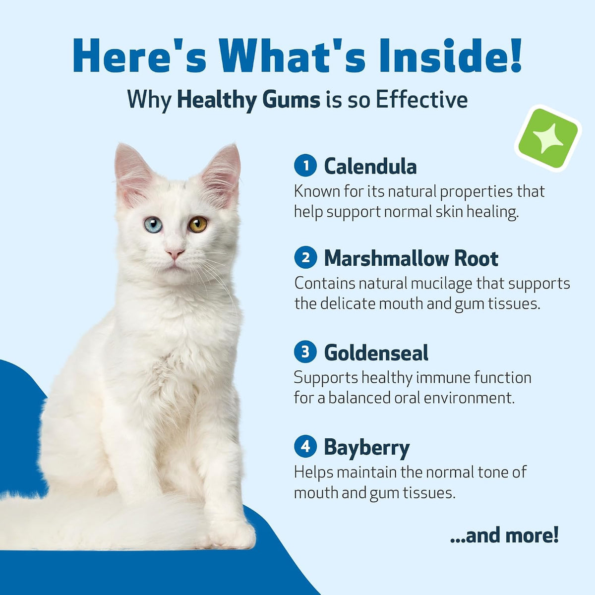 Healthy Gums for Feline Periodontal Health