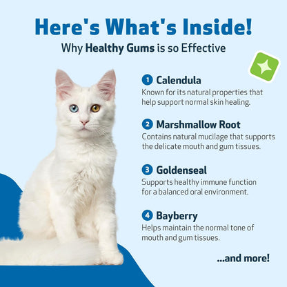 Healthy Gums for Feline Periodontal Health