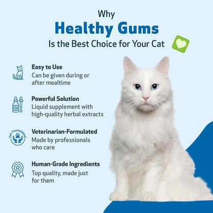 Healthy Gums for Feline Periodontal Health