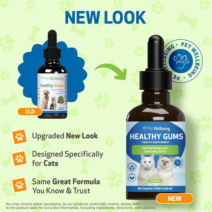 Healthy Gums for Feline Periodontal Health