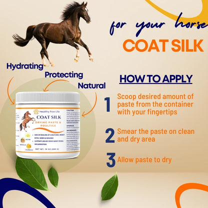 Healthy Paw Life Coat Silk Drying Paste & Poultice for Horse, 10-oz