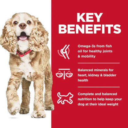 Hill's Science Diet Adult 11+ Small & Mini Chicken Meal, Brown Rice & Barley Recipe Dry Dog Food