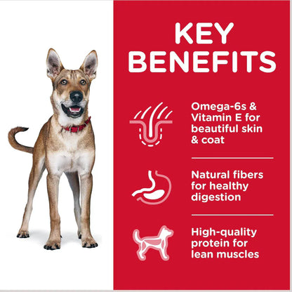 Hill's Science Diet Adult Dry Dog Food Chicken & Barley Recipe