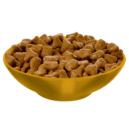 Hill's Science Diet Adult Hairball Control Chicken Recipe Dry Cat Food