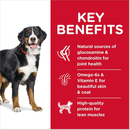 Hill's Science Diet Adult Large Breed Dry Dog Food, Chicken & Barley Recipe