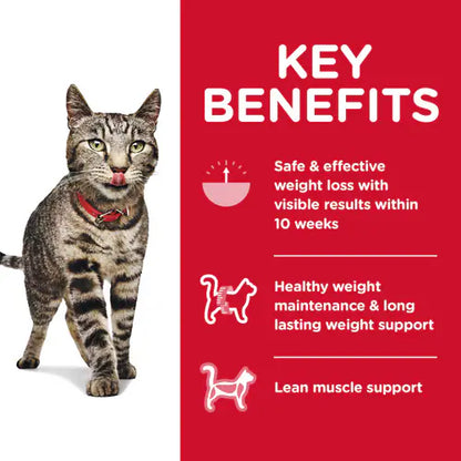Hill's Science Diet Adult Perfect Weight Dry Cat Food, Chicken Recipe (3 lb)