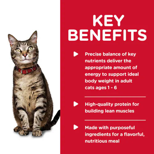 Hill's Science Diet Adult Savory Salmon Entrée Canned Cat Food (5.5 oz x 24 cans)