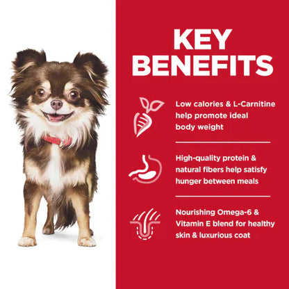 Hill's Science Diet Adult Sensitive Stomach & Skin Small & Mini Chicken Recipe Dry Dog Food