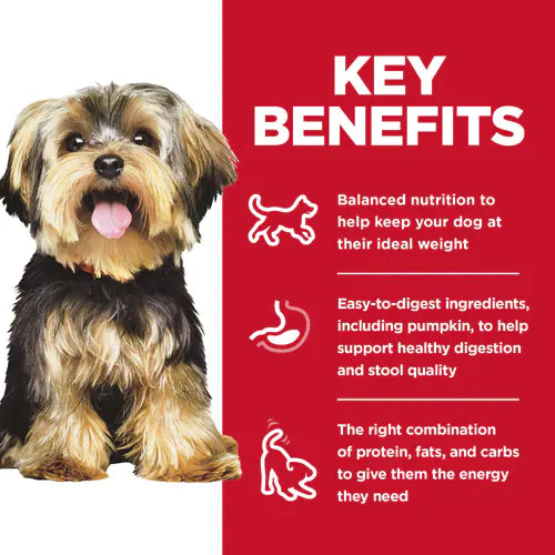 Hill's Science Diet Adult Small & Mini Canned Dog Food, Chicken & Barley Entrée  (5.8 oz x 24 cans)