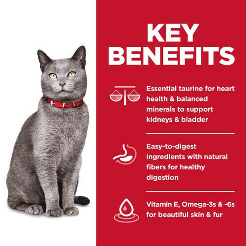 Hill's Science Diet Senior 7+ Dry Cat Food, Chicken & Brown Rice Recipe (3.5 lb)