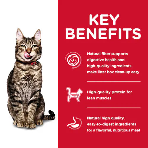 Hill's Science Diet Senior 7+ Indoor Dry Cat Food, Chicken Recipe (15.5 lb)