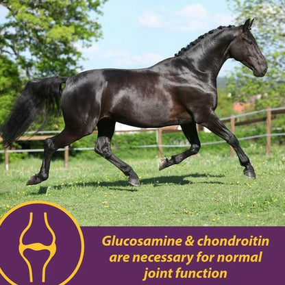 Horse Health Products Joint Combo Classic Pellets Horse Supplement