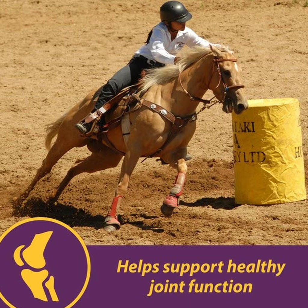 Horse Health Products Joint Combo Classic Pellets Horse Supplement