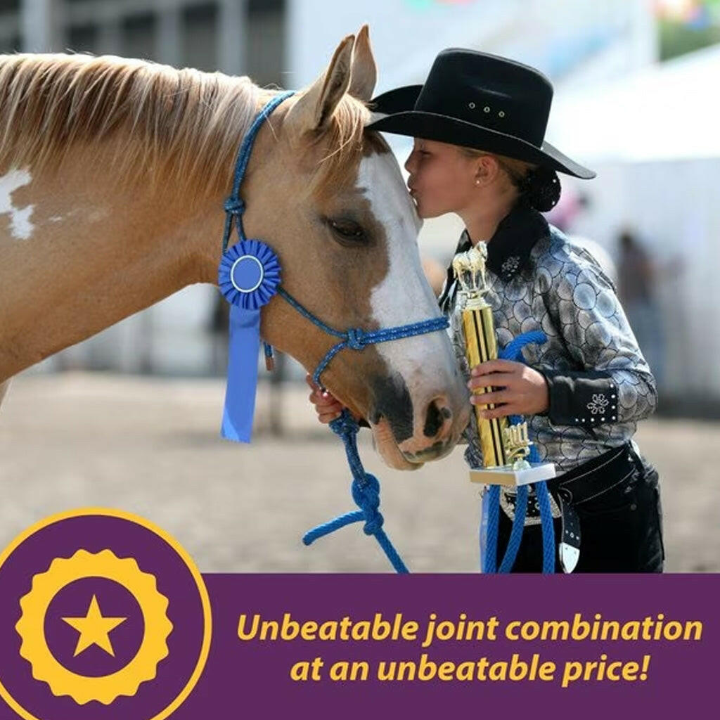 Horse Health Products Joint Combo Classic Pellets Horse Supplement