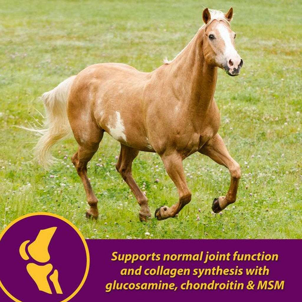 Horse Health Products Joint Combo Hoof & Coat 3-in-1 Apple Flavor Pellets Horse Supplement