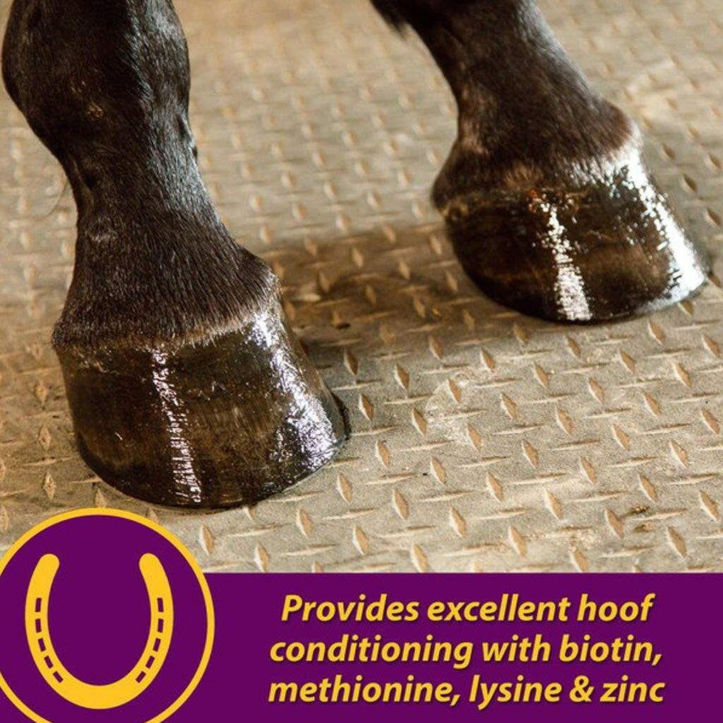Horse Health Products Joint Combo Hoof & Coat 3-in-1 Apple Flavor Pellets Horse Supplement