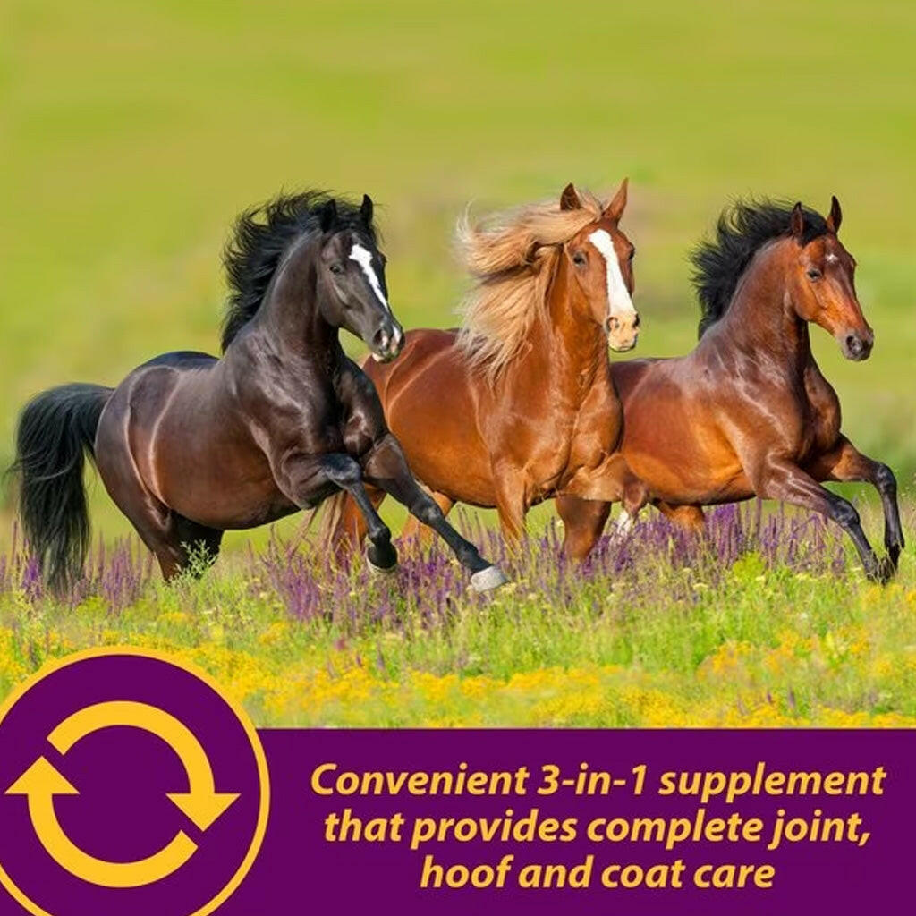 Horse Health Products Joint Combo Hoof & Coat 3-in-1 Apple Flavor Pellets Horse Supplement