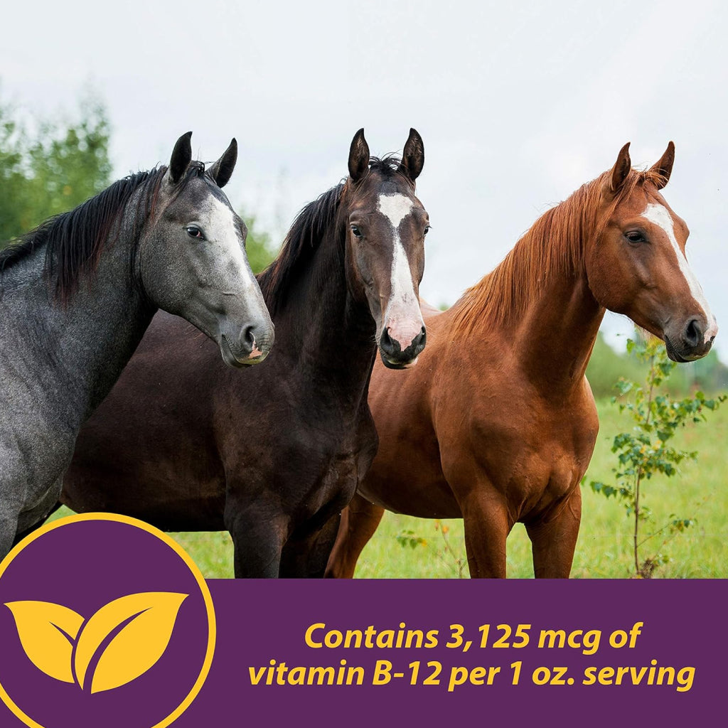 Horse Health Products Vita B-12 Crumbles Vitamin Supplement For Horses (3 lb)