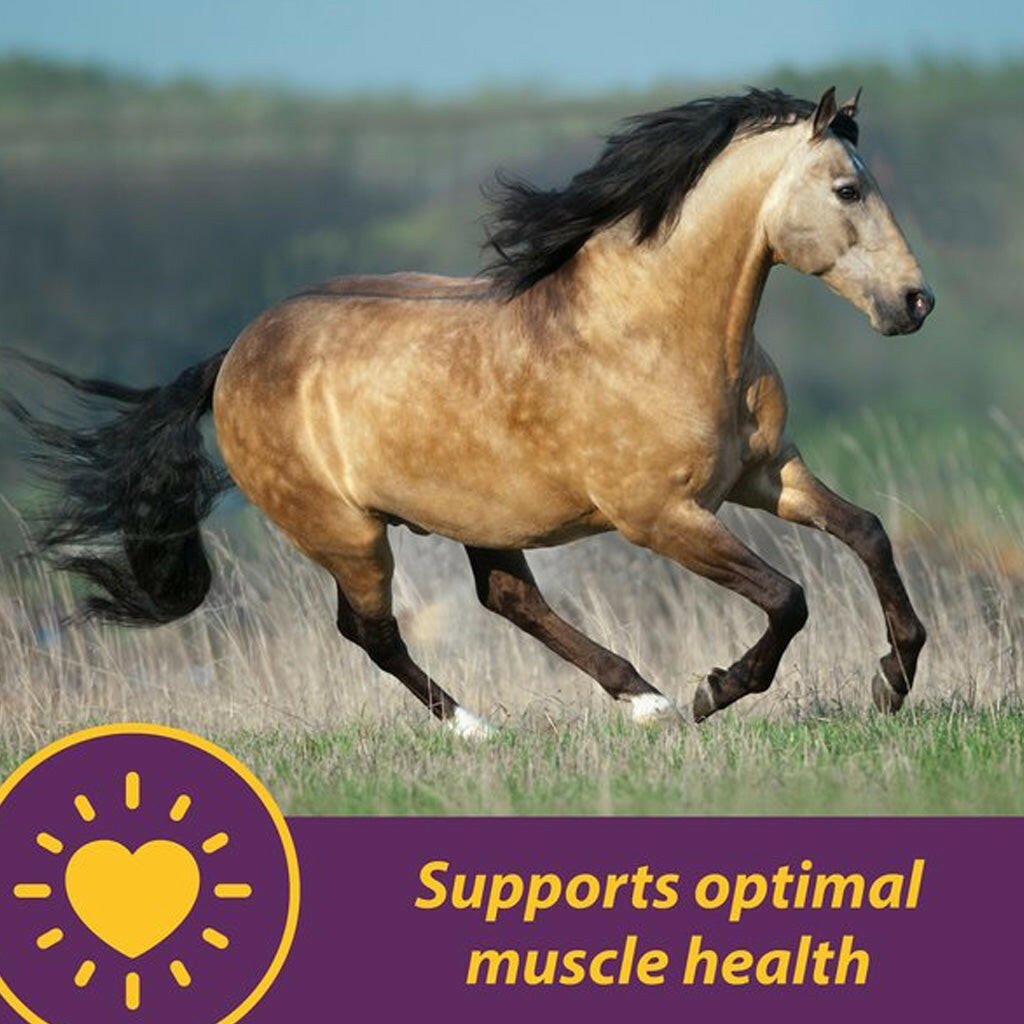 Horse Health Products Vitamin-E & Selenium Crumbles Horse Supplement