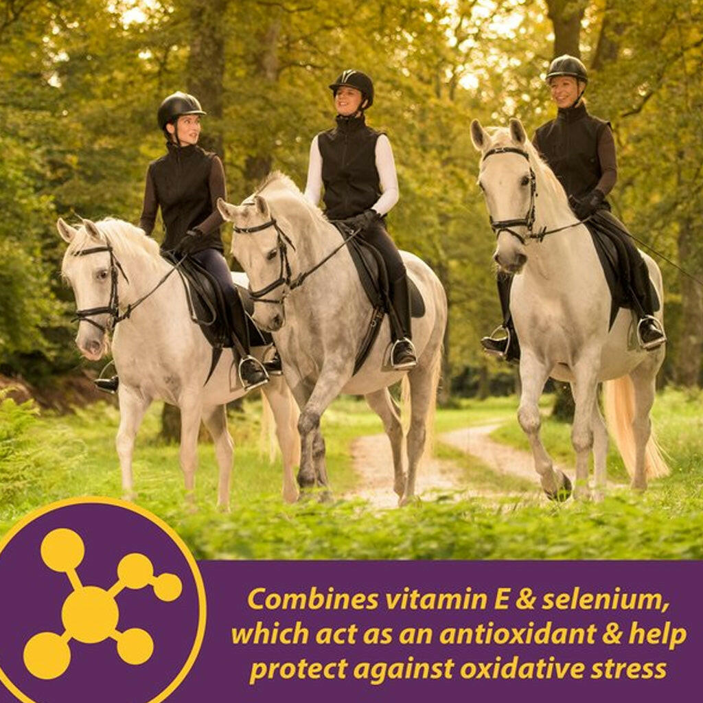 Horse Health Products Vitamin-E & Selenium Crumbles Horse Supplement