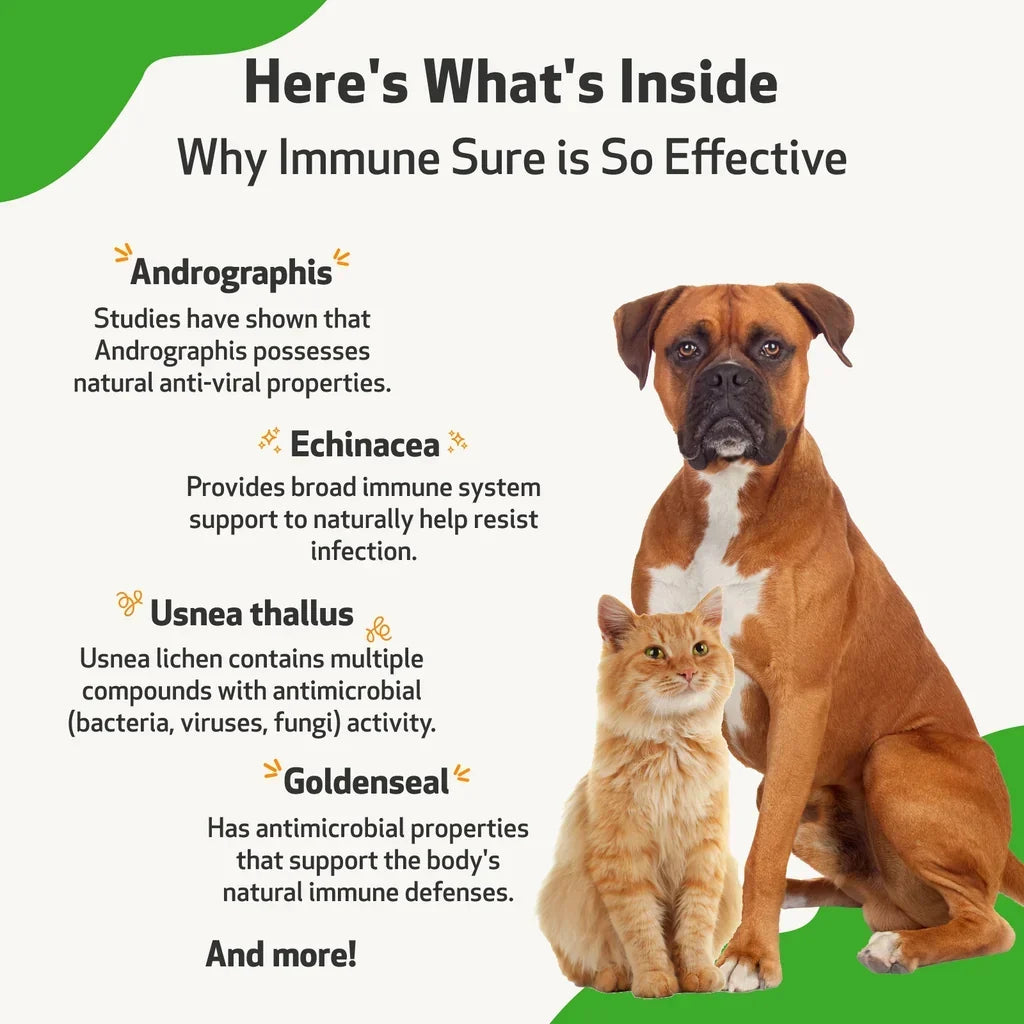Immune SURE for Canine Immune System Support