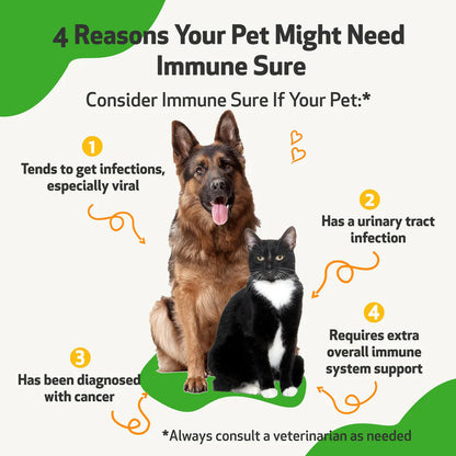 Immune SURE -for Feline Immune System Support