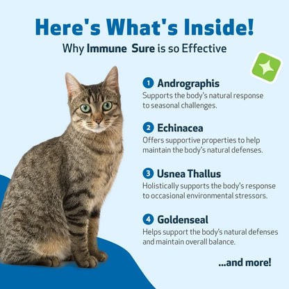 Immune SURE -for Feline Immune System Support