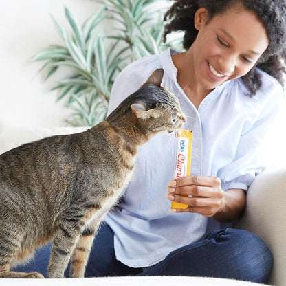 Inaba Churu Beef & Cheese Variety Pack Grain-Free Lickable Treat for Cats, 50 count