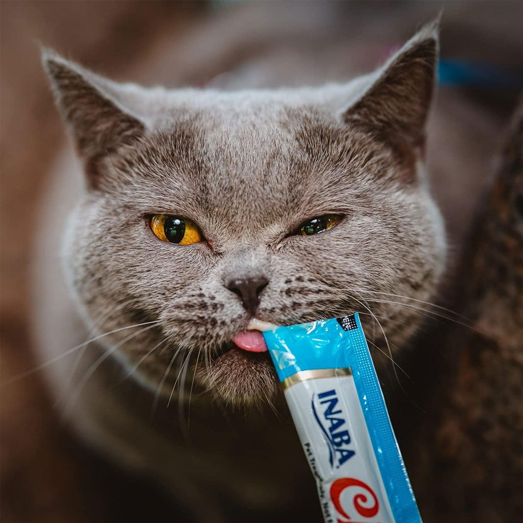 Inaba Churu Chicken  with Scallop Puree Grain-Free Lickable Treat for Cats, 0.5-oz x 4-tubes