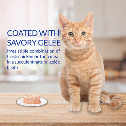 Inaba Twins Chicken Recipe Grain-Free Cat Food, 1.23-oz
